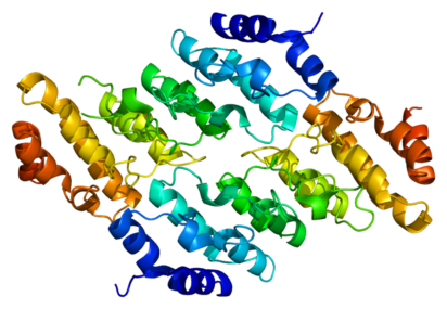 Nuevos enfoques para tratar la hipertensión mediante proteínas TRPV2