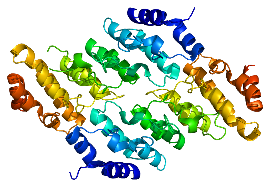 En este momento estás viendo Nuevos enfoques para tratar la hipertensión mediante proteínas TRPV2