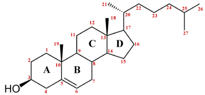 Nueva herramienta terapéutica de la UB para controlar el colesterol en sangre